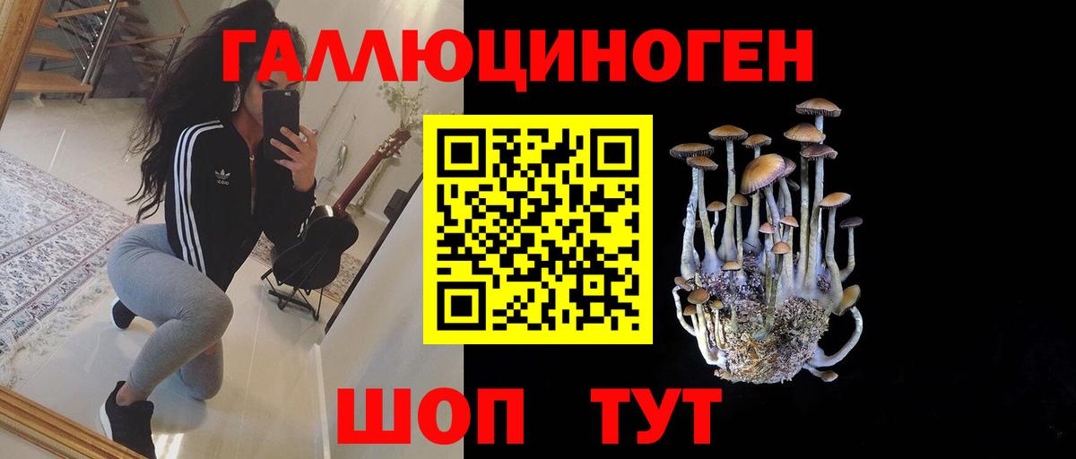 Галлюциногенные грибы Magic Shrooms  Вход с VPN  Кизляр 